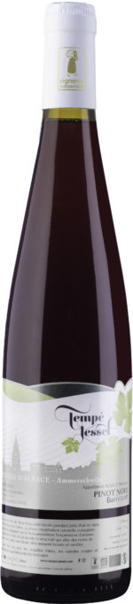 Pinot Noir Barrique