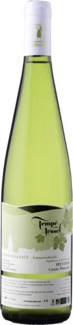 Sylvaner Prestige